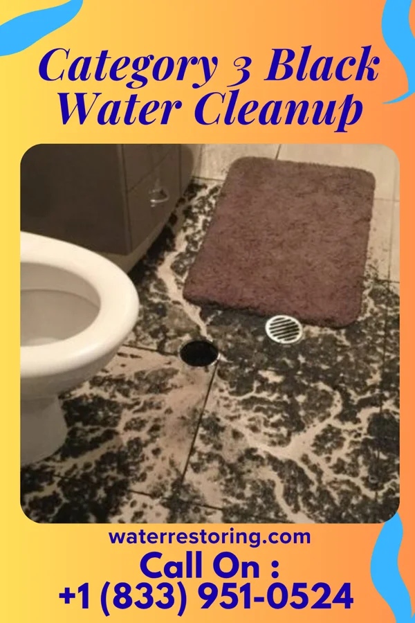 Category 3 Black Water Cleanup in Tedrow, OH
