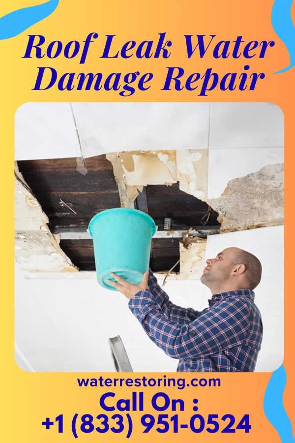 Roof Leak Water Damage Repair in Tedrow, OH