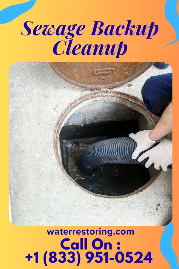 Sewage Backup Cleanup in Tedrow, OH