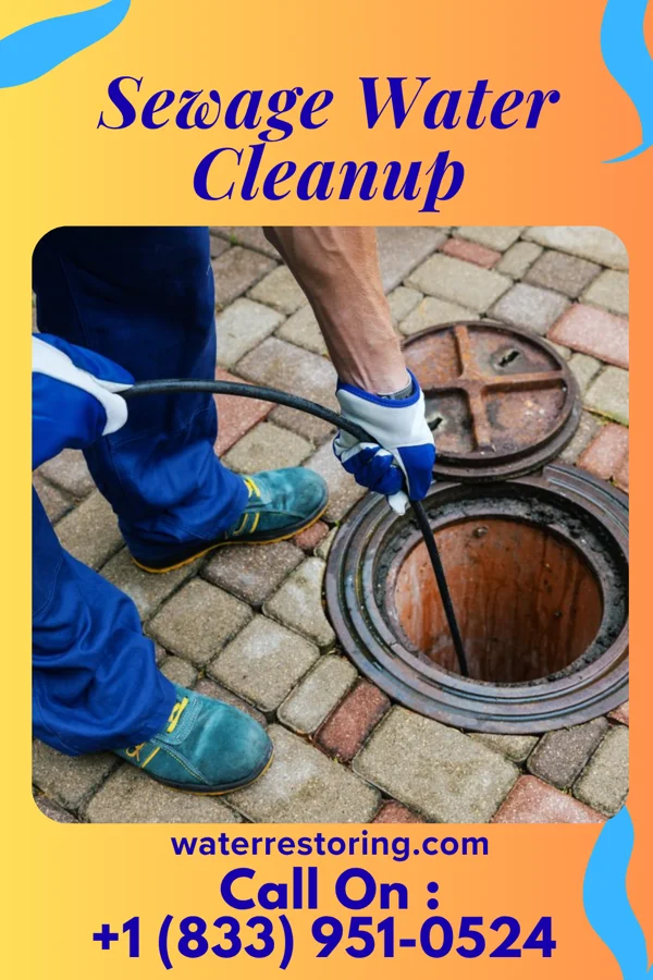 Sewage Water Cleanup in Tedrow, OH