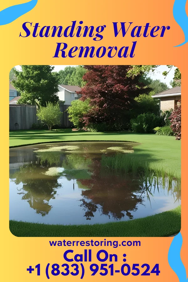 Standing Water Removal in Tedrow, OH
